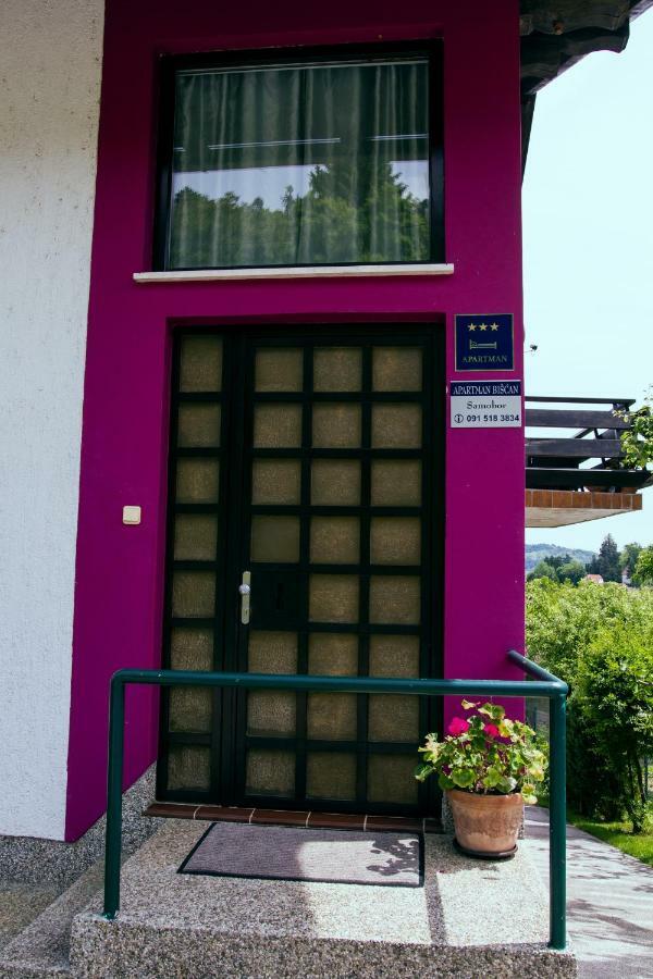 Apartment Biscan Samobor Extérieur photo